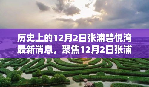 聚焦張浦碧悅灣最新動(dòng)態(tài)，深度解讀12月2日新消息及其影響