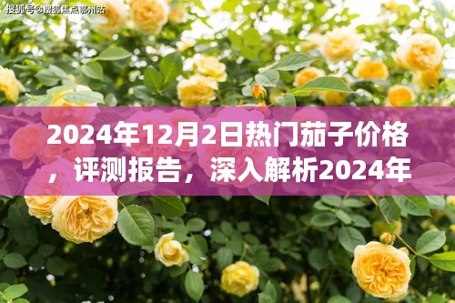 2024年熱門茄子價格深度解析與評測報告