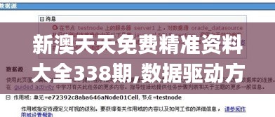 新澳天天免費(fèi)精準(zhǔn)資料大全338期,數(shù)據(jù)驅(qū)動(dòng)方案實(shí)施_GT35.758-5