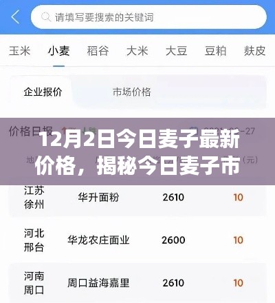 揭秘今日麥子市場，最新價(jià)格動(dòng)態(tài)及市場分析（以麥子最新價(jià)格行情為例）