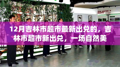 吉林市超市最新出兌，探尋自然美景，發(fā)現(xiàn)內(nèi)心寧?kù)o之美之旅