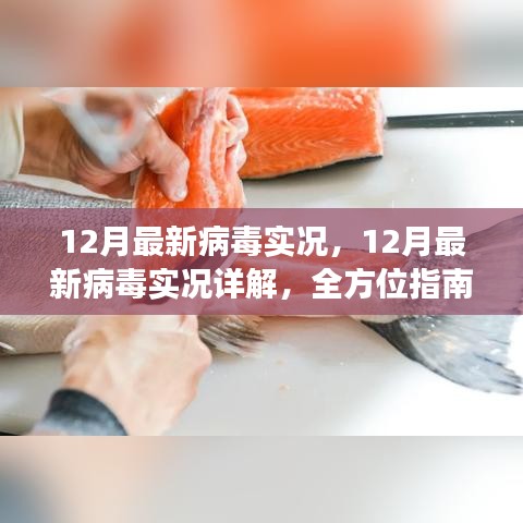 全方位指南，12月病毒威脅詳解與防范應(yīng)對策略