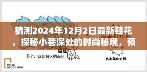 探秘未來(lái)鞋花，小巷深處的時(shí)尚秘境預(yù)測(cè)匠心鞋履店新風(fēng)尚（2024年12月2日最新猜測(cè)）