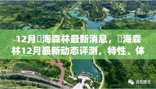 燊海森林12月最新動(dòng)態(tài)評(píng)測(cè)，特性、體驗(yàn)、對(duì)比及用戶群體深度分析