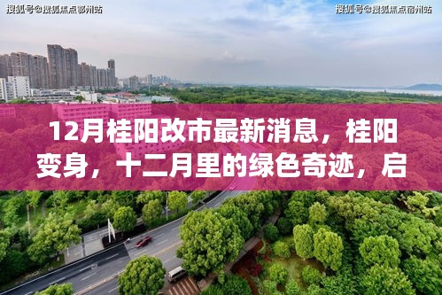 12月桂陽改市最新動(dòng)態(tài)，綠色奇跡啟程，心靈之旅開啟