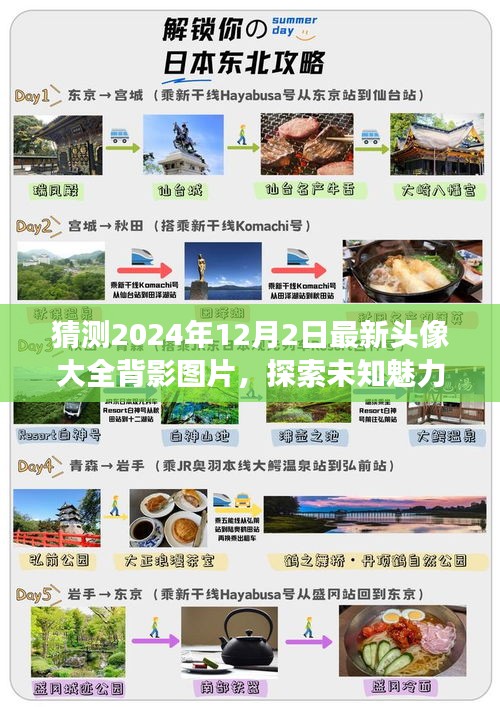 『最新精選，2024年12月2日背影頭像大全，探索未知魅力與未來時尚潮流』