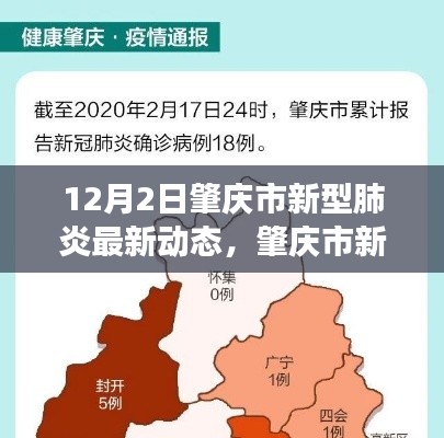 肇慶市新型肺炎最新動(dòng)態(tài)，12月2日回顧與展望