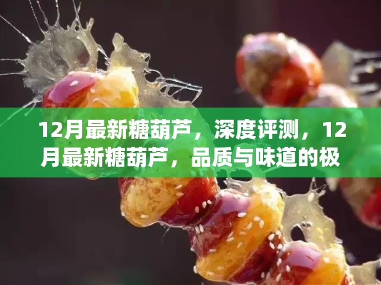 12月最新糖葫蘆，品質(zhì)與味道的極致融合深度評(píng)測(cè)