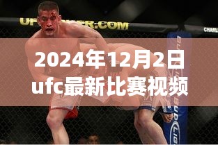 夯雀兒先飛 第5頁(yè)