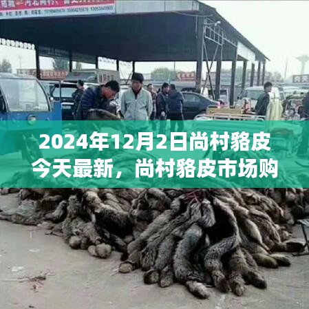 尚村貉皮市場(chǎng)最新指南，選購(gòu)優(yōu)質(zhì)貉皮的初學(xué)者友好版建議