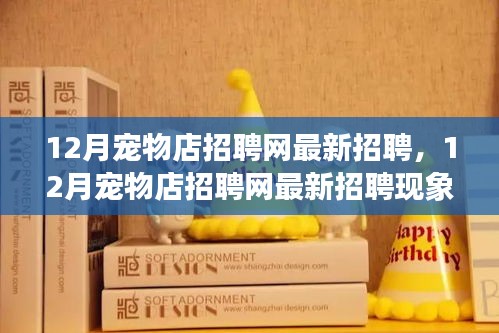12月寵物店招聘網(wǎng)最新招聘現(xiàn)象解析，利弊探討與個(gè)人觀點(diǎn)