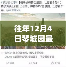 琴城園博客新篇章，學(xué)習(xí)變革的旋律與自信成就的和聲