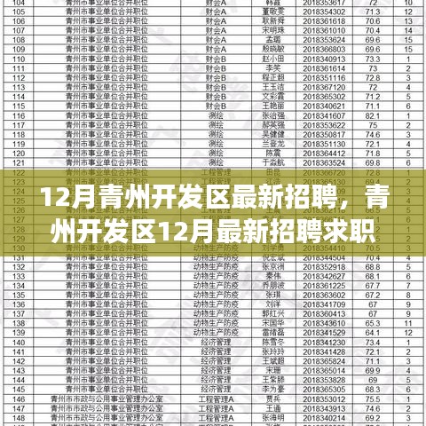 青州開發(fā)區(qū)12月最新招聘求職全流程指南，從準備到面試成功的秘訣