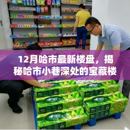 揭秘哈爾濱最新樓盤與小巷寶藏，特色樓盤與小店獨(dú)特魅力探秘