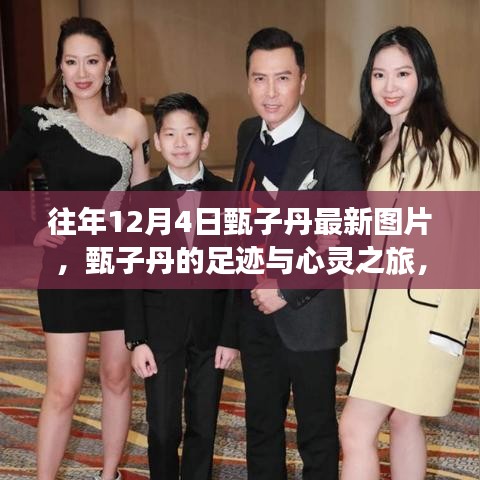 甄子丹足跡與藝術(shù)之旅，探尋自然美景與內(nèi)心平靜的藝術(shù)之旅（最新圖片）
