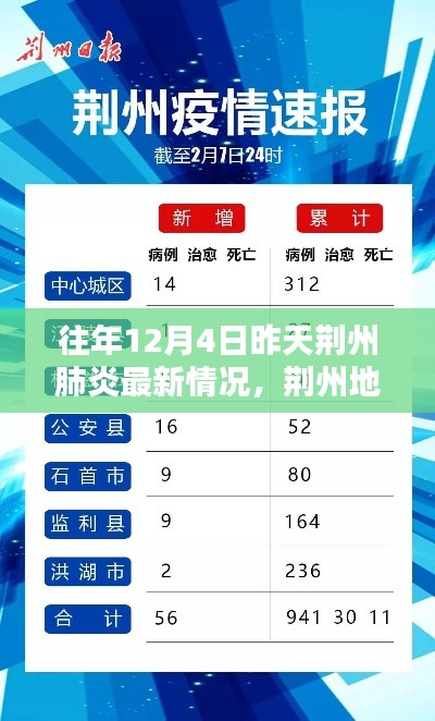 荊州地區(qū)往年12月4日昨日肺炎最新情況回顧與影響分析，回顧與啟示