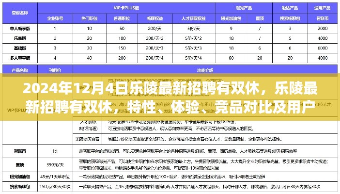 樂(lè)陵最新招聘特性解讀，雙休工作體驗(yàn)與競(jìng)品對(duì)比分析（XXXX年全新解讀）