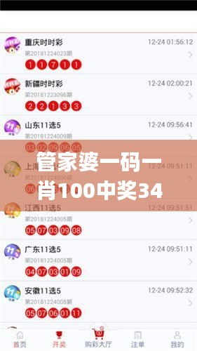 管家婆一碼一肖100中獎340期,數(shù)據(jù)引導策略解析_WP版41.718-6