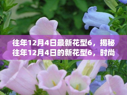 揭秘往年12月4日新花型6，時(shí)尚變遷與流行趨勢(shì)深度解讀