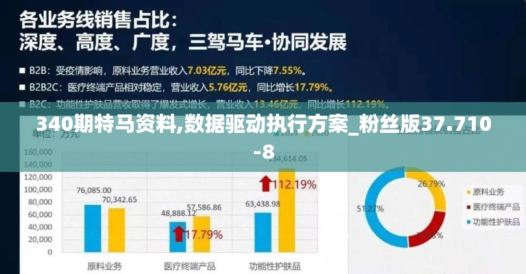 340期特馬資料,數據驅動執(zhí)行方案_粉絲版37.710-8