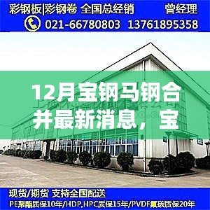 寶鋼馬鋼合并最新進展，攜手共進，冬日傳遞溫情與陪伴