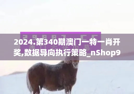 2024.第340期澳門一特一肖開獎,數(shù)據(jù)導(dǎo)向執(zhí)行策略_nShop9.428
