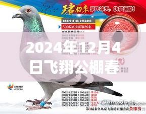 揭秘最新公告，飛翔公棚春棚更新動態(tài)，關(guān)注所有你關(guān)心的內(nèi)容
