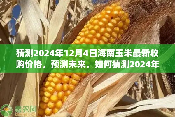 揭秘未來，海南玉米最新收購價(jià)格預(yù)測(cè)報(bào)告（至2024年12月4日）