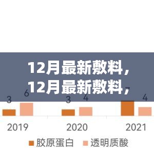 12月最新敷料革新與應(yīng)用，深度探討與解讀