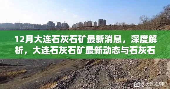 大連石灰石礦最新動態(tài)與產(chǎn)品特性深度解析，12月消息速遞