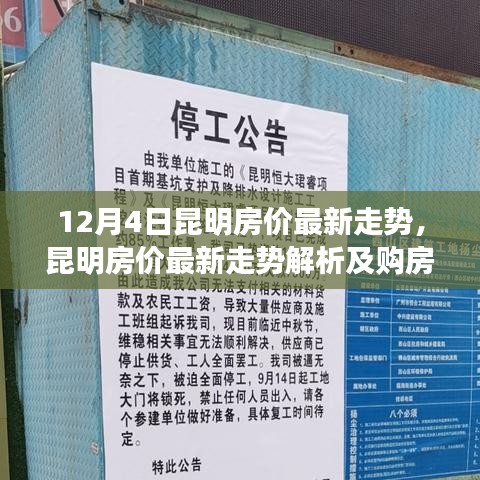 昆明房?jī)r(jià)最新走勢(shì)解析，初學(xué)者與進(jìn)階用戶(hù)的購(gòu)房指南（12月4日更新）