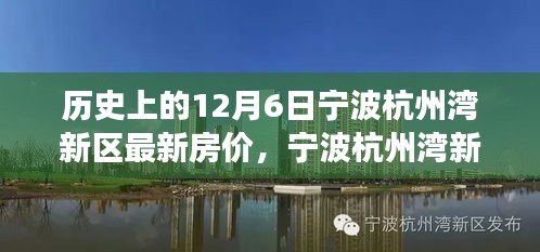 寧波杭州灣新區(qū)房價動態(tài)，歷史房價回顧與探索自然美景之旅的新篇章（12月6日更新）