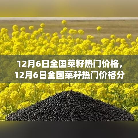 12月6日全國(guó)菜籽熱門價(jià)格解析，市場(chǎng)走勢(shì)洞察與個(gè)人觀點(diǎn)分享