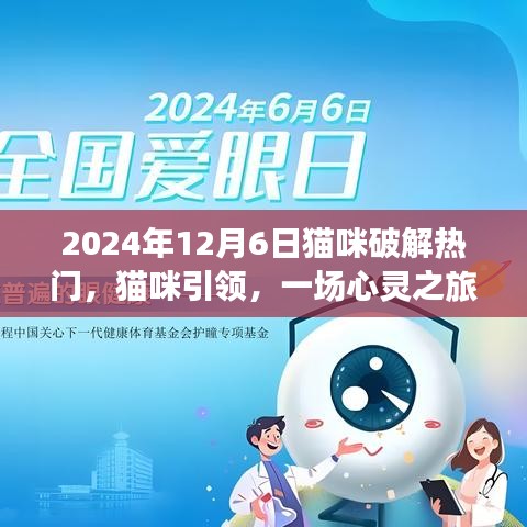 貓咪引領(lǐng)的心靈之旅，熱門貓咪時(shí)光探索記