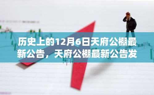 天府公棚最新公告發(fā)布，解讀歷史事件的行動(dòng)指南與天府公棚最新動(dòng)態(tài)回顧