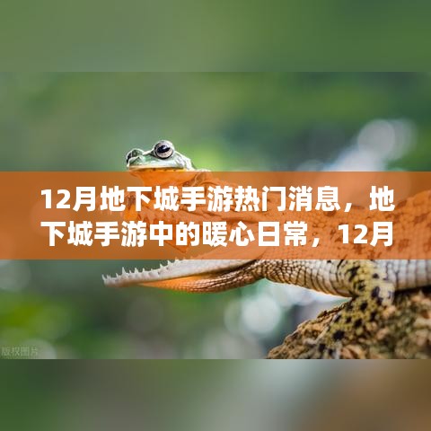 12月地下城手游，暖心日常與友情陪伴的時光