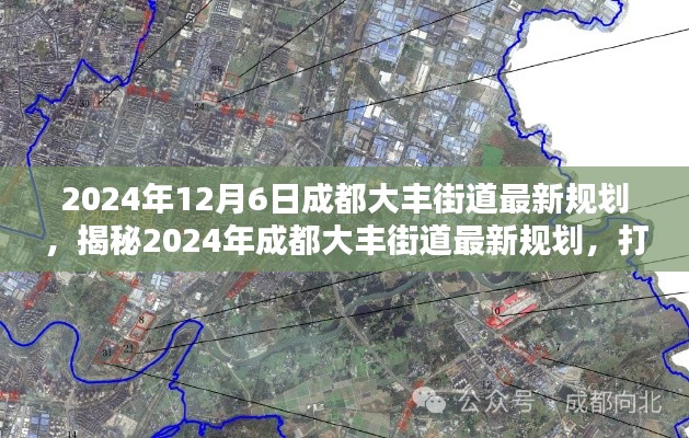 揭秘未來藍(lán)圖，成都大豐街道2024年最新規(guī)劃展望