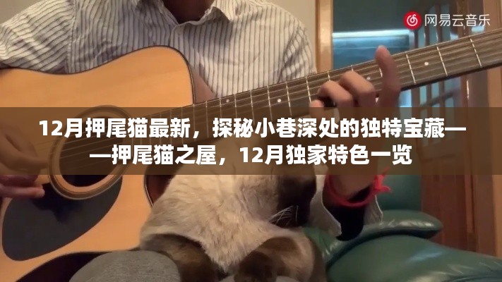 探秘押尾貓之屋，小巷深處的獨(dú)特寶藏，揭秘十二月獨(dú)家特色