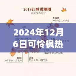 紀(jì)念特殊時刻，可憐楓熱背后的故事與影響——2024年12月6日時光印記
