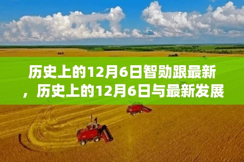 心曠神怡 第5頁