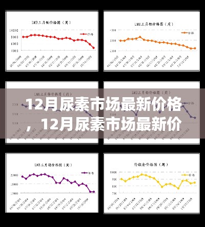 多方觀點碰撞與個人立場，12月尿素市場最新價格及走勢分析