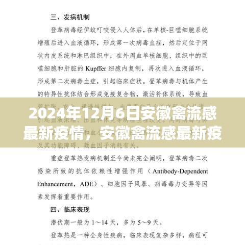 深度觀察，安徽禽流感最新疫情背景、進(jìn)展與影響分析（2024年12月6日）