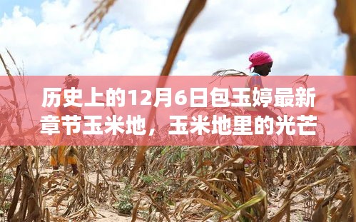 包玉婷的勵(lì)志人生，玉米地里的光芒與學(xué)習(xí)的力量，照亮人生旅途的篇章