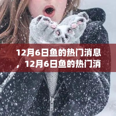 深度解析，揭秘12月6日魚的熱門消息背后的觀點(diǎn)與立場