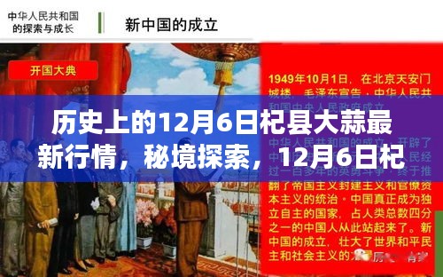 秘境探索，揭秘12月6日杞縣大蒜行情與小巷深處的蒜香特色小店