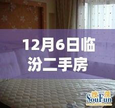 揭秘臨汾二手房市場，熱門房源探秘與小巷深處的隱藏寶藏