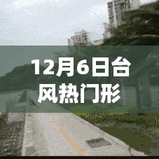全面步驟指南，追蹤和理解12月6日臺(tái)風(fēng)熱門形成的胚胎過(guò)程