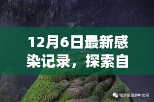 治愈感染之旅，探索自然美景與最新感染記錄揭秘