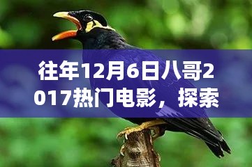 八哥帶你探索熱門電影與自然美景，找回內(nèi)心的平靜與喜悅之旅