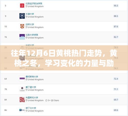 黃桃之冬，揭秘歷年熱門走勢，勵志學習之旅開啟的力量與變化